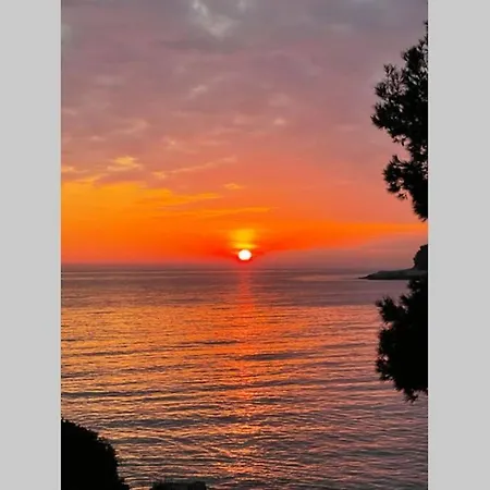 House Marea-newly Renovated 100m From The Sea Apartment Pula