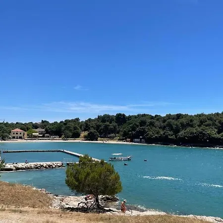 House Marea-newly Renovated 100m From The Sea Apartment