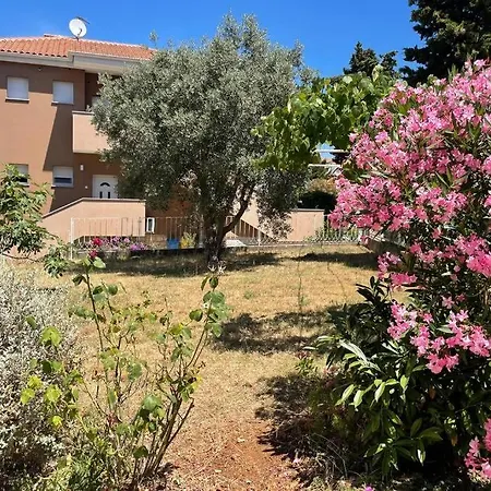 Apartment House Marea-newly Renovated 100m From The Sea *